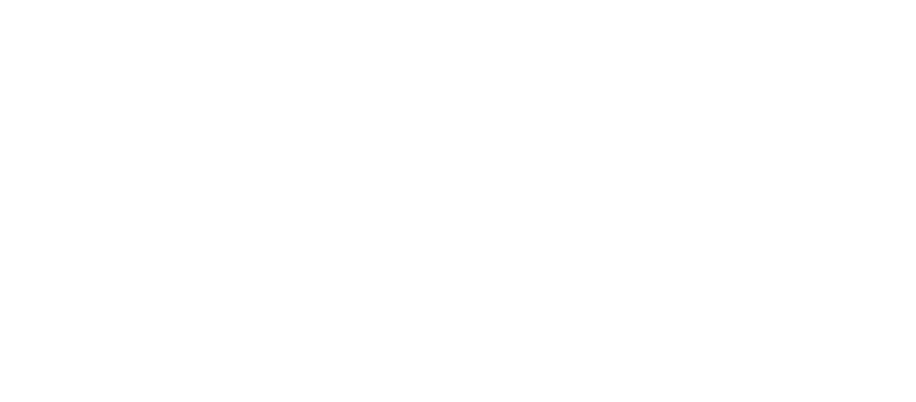 Bus Sport AG logo